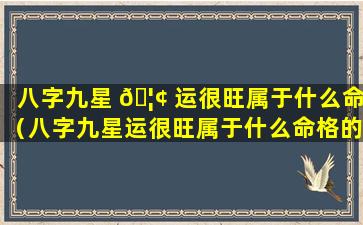 八字九星 🦢 运很旺属于什么命（八字九星运很旺属于什么命格的人 🐕 ）